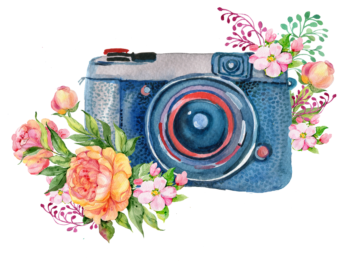 Camera and flowers watercolor illustration