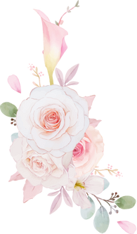 Pink Roses Illustration